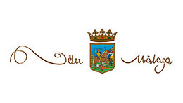 ayuntamiento-de-velez-malaga