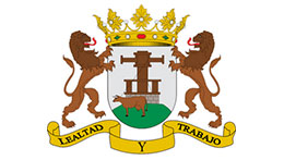 ayuntamiento-ingenio